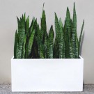 Plantekasser Jort M 100 cm thumbnail