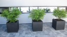 Plantekasse Block thumbnail
