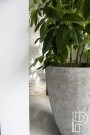 Plantekasse Bernd Imperial white thumbnail