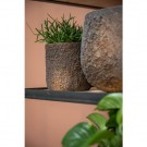 Potte Puk Imperial brown thumbnail