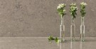 Terre Grey thumbnail
