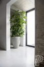 Plantekasse Bernd Imperial white thumbnail