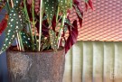 Plantekasse Bernd Imperial brown thumbnail