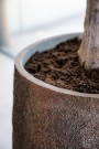 Plantekasse Belon Imperial brown thumbnail