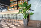 Plantekasse Bernd Imperial brown thumbnail