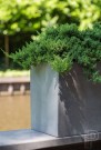 Plantekasser Jort M 100 cm thumbnail