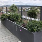 Plantekasser Jort M 100 cm thumbnail