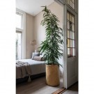 Plantekasser Kenyi – sett med 3 stk thumbnail