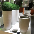 Kunstige planter Buksbom thumbnail