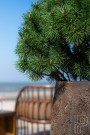 Plantekasse Belon Imperial brown thumbnail