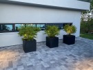 Plantekasse Block thumbnail