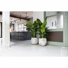 Potte Gillard Imperial white thumbnail