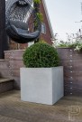 Plantekasse Block thumbnail
