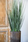 Plantekasse Dax Imperial brown thumbnail