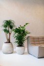 Plantekasse Hera Chalk White thumbnail