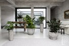 Plantekasse Dax Imperial white thumbnail