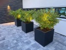Plantekasse Block thumbnail