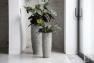Plantekasse Dax Imperial white thumbnail