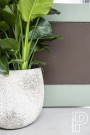 Potte Gillard Imperial white thumbnail