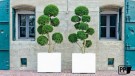 Plantekasse Block thumbnail
