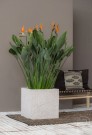 Plantekasse Block thumbnail