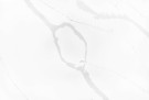 Calacatta Venezia thumbnail