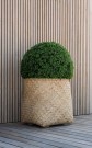 Kunstige planter Buksbom thumbnail