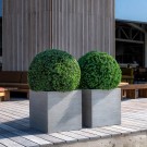 Kunstige planter Buksbom thumbnail