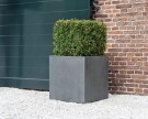 Plantekasse Block thumbnail