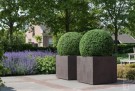 Kunstige planter Buksbom thumbnail